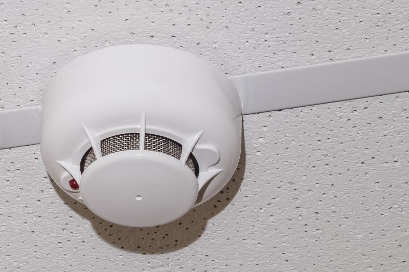Ceiling-mounted Smoke Detectors